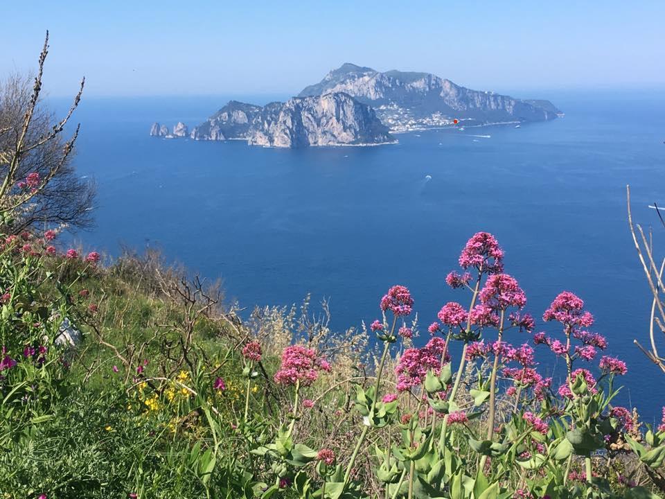 Albergo Italia - Vintage Hotel Capri Eksteriør billede
